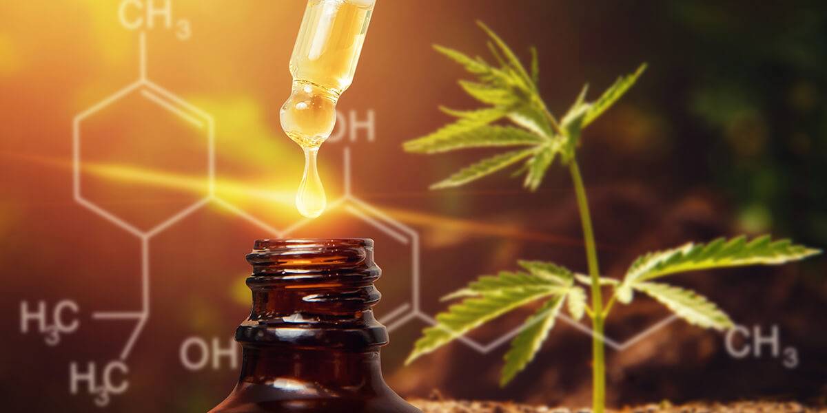 cannabis oil